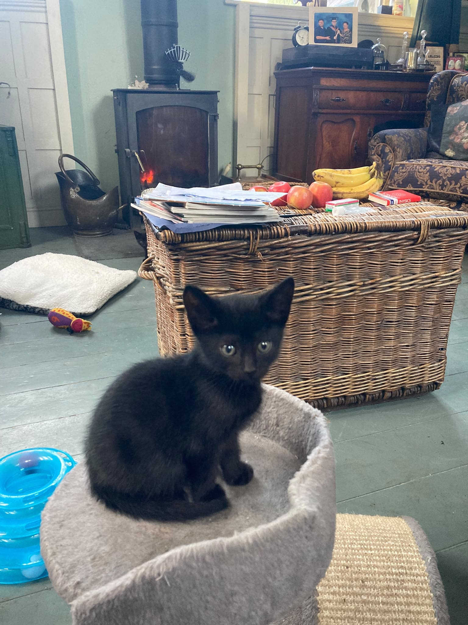 Sir Percival AB