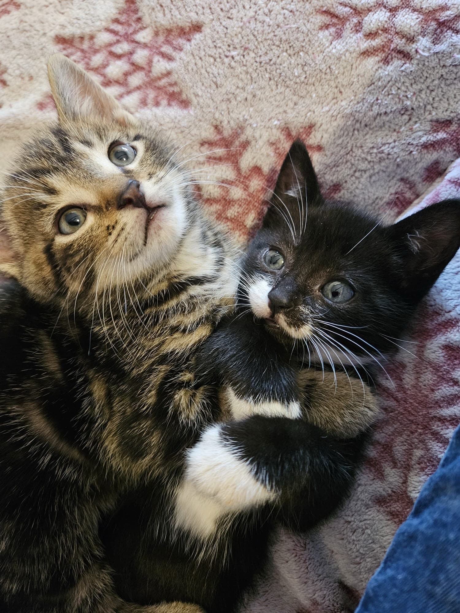 Jasper and Jessie
